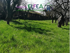 terrain à la vente -   26210  LENS-LESTANG, surface 0 m2 vente terrain - APR387518